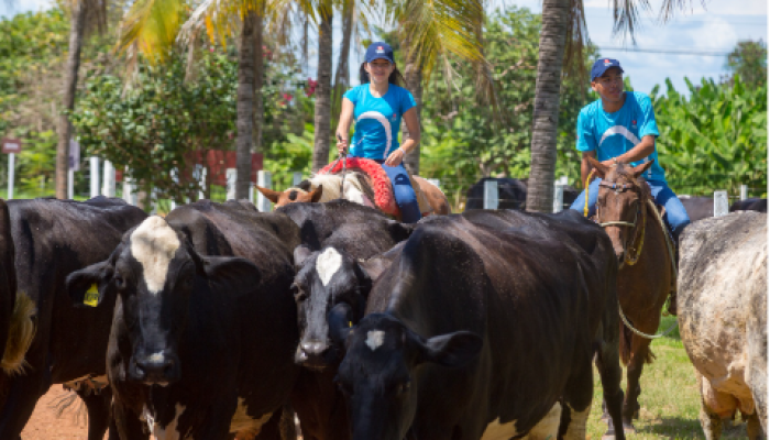 Fundação oferece curso técnico gratuito em Feira de Santana
