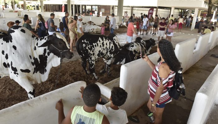 O que acontece depois que a Fenagro acaba? Saiba como