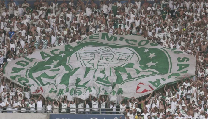 Palmeiras-se-isenta-e-comerciantes-pagam-por-tapumes-no-entorno.webp.webp