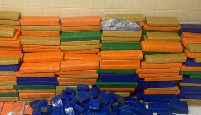 Polícia apreende quase 1 tonelada de maconha em Simões Filho