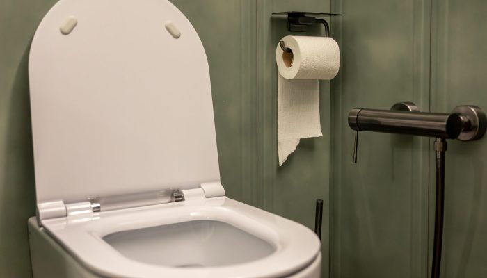 Por que jogar papel higiênico no vaso destrói seu encanamento
