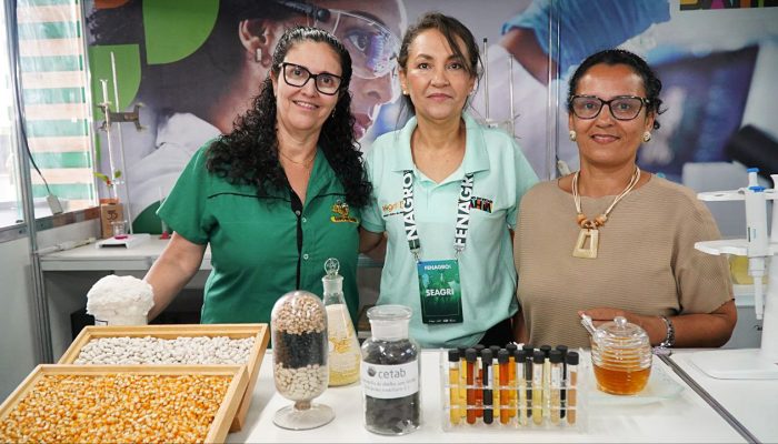 Qual é o melhor mel da Bahia? Concurso revela campeões