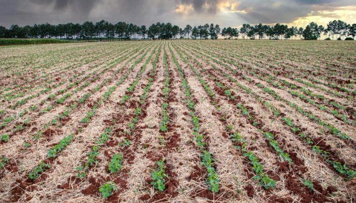 RS se recupera das enchentes e puxa crescimento do PIB