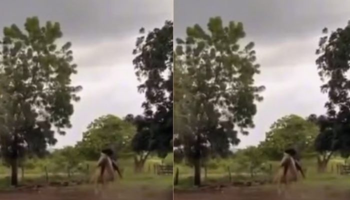 Video-homem-e-cavalo-escapam-de-serem-atingido-por-raio.jpg