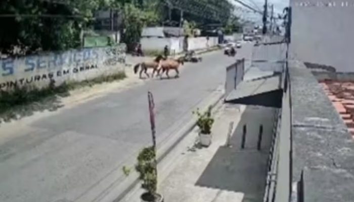 Video-motociclista-e-atropelado-por-cavalos-em-Feira-de-Santana.jpg