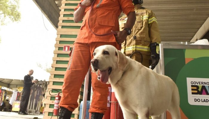cadela bombeira vira atração na Fenagro