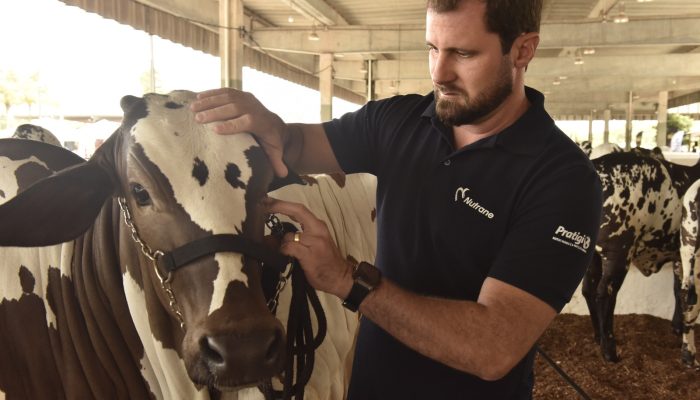 como trabalham os veterinários de animais do campo