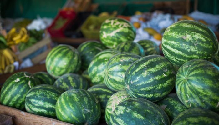 estado lidera produção e exporta para Europa