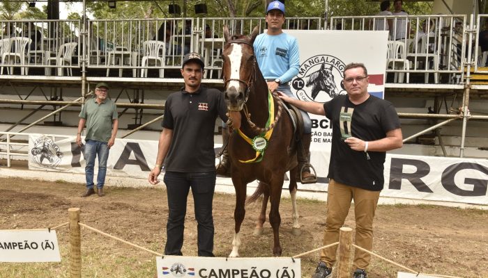 jurados testam marcha e desempenho dos melhores mangalargas do país