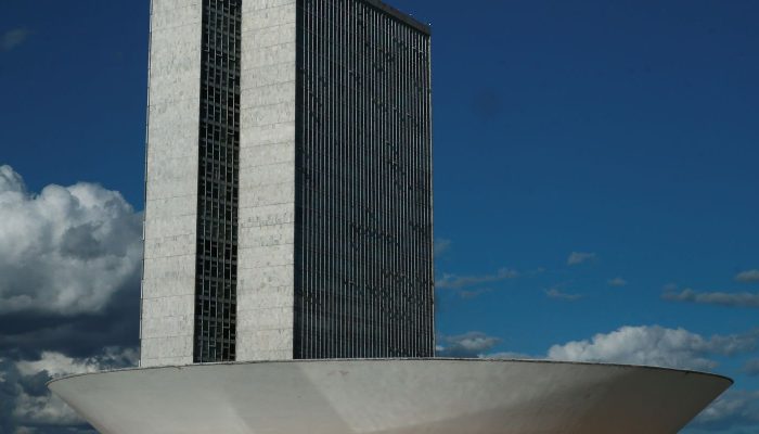 monumentos_brasilia_cupula_plenario_da_camara_dos_deputados3103201339.jpg