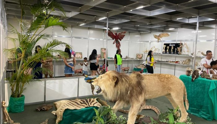 museu mostra como são os animais por dentro